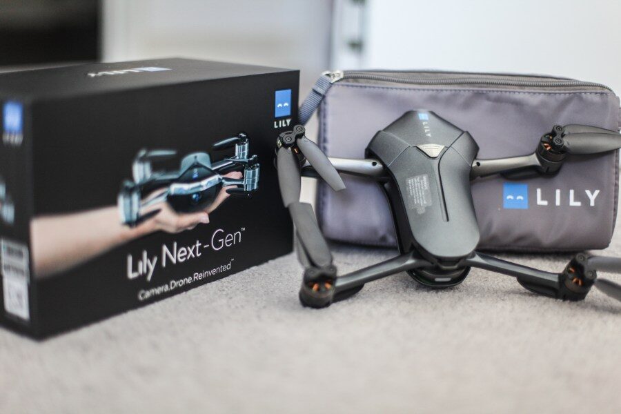 lily2-3333271